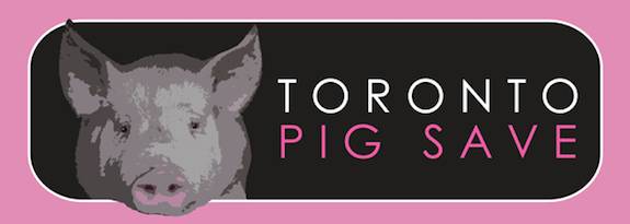 toronto pig save