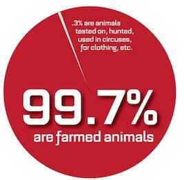 animal agriculture