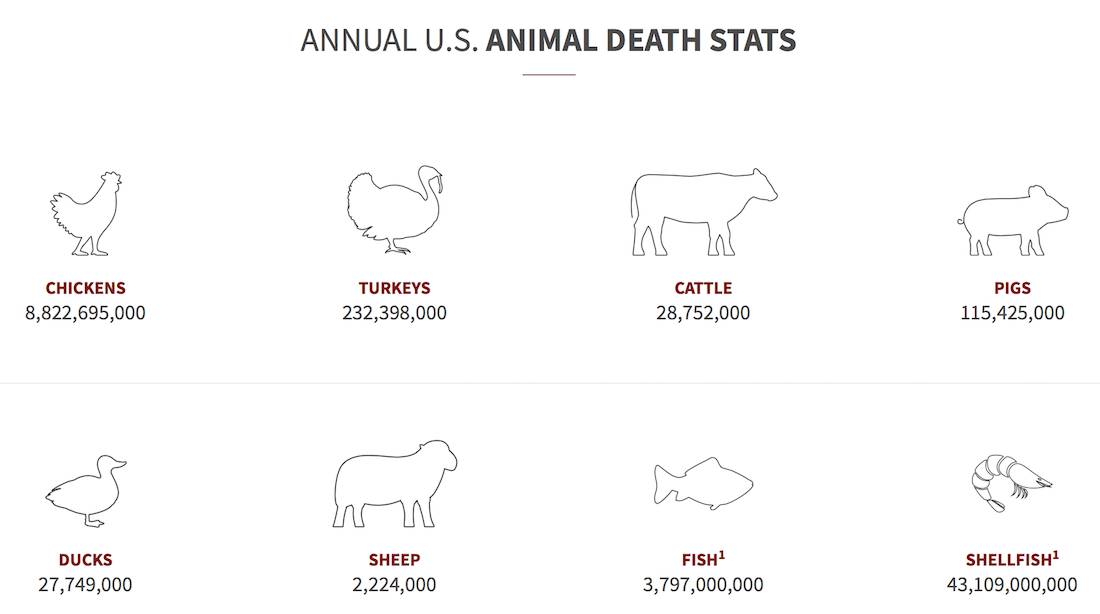 animas killed for food