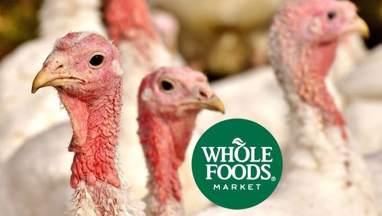 Whole Foods turkeys