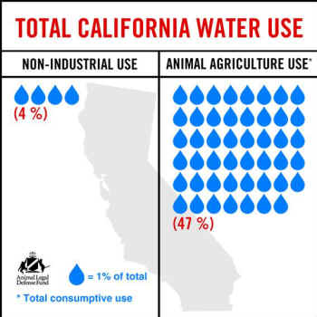 california water usage
