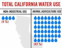animal agriculture water use