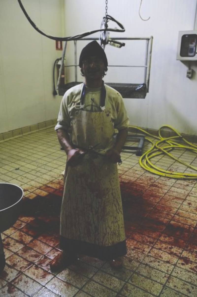 slaughterhouse worker