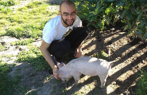 miley rescued pig
