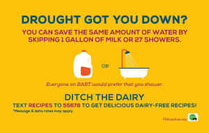 drought dairy water usage