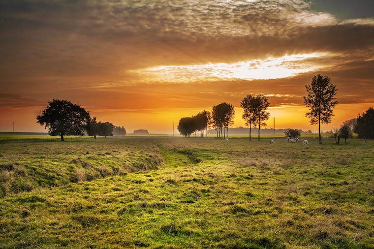 farmland