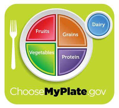 my plate USDA