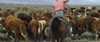 cowboy myth