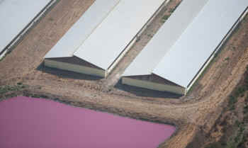 agribusiness lagoons