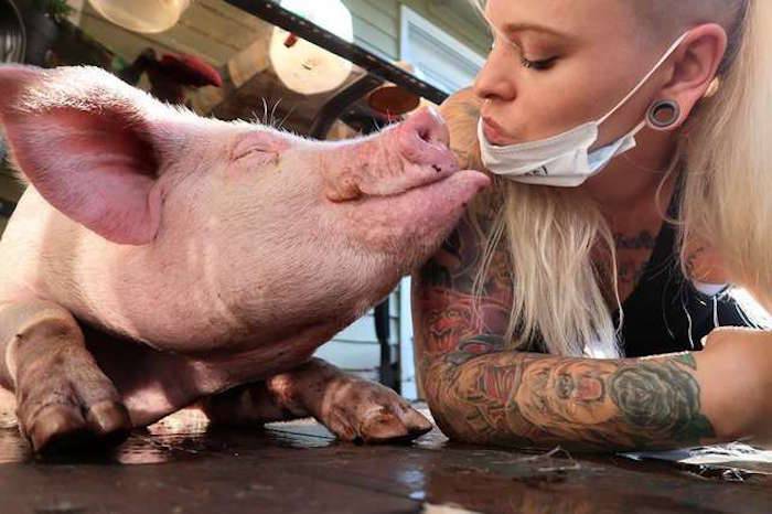 Rescud Pig Flo