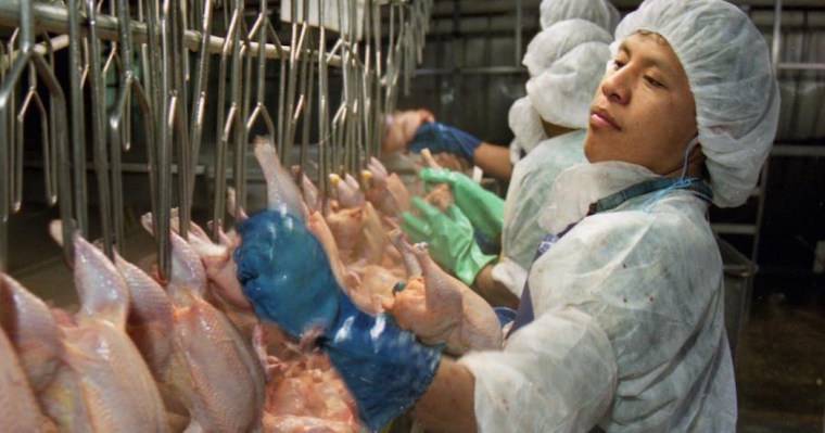 slaughterhouse workers