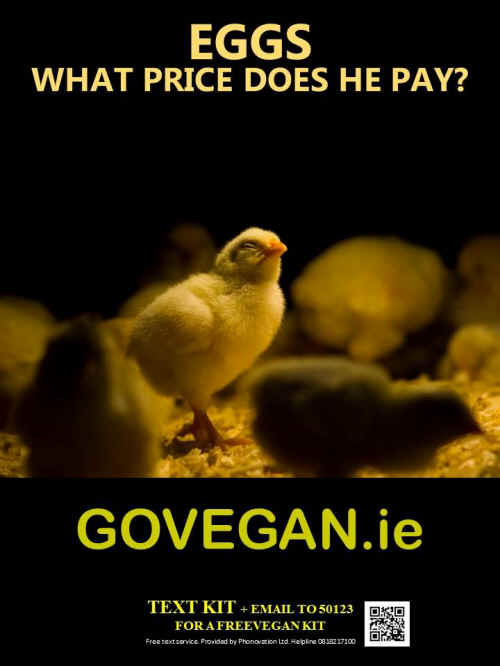 go vegan Ireland