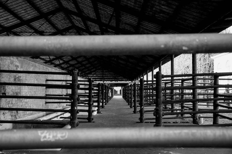 former slaughterhouse