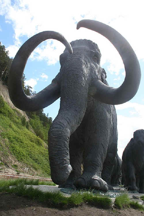 rf-mammothscu-03