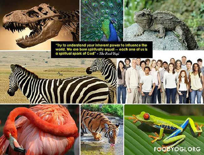 interconnectedness