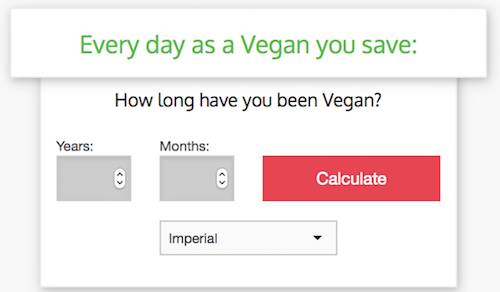 vegan calculator