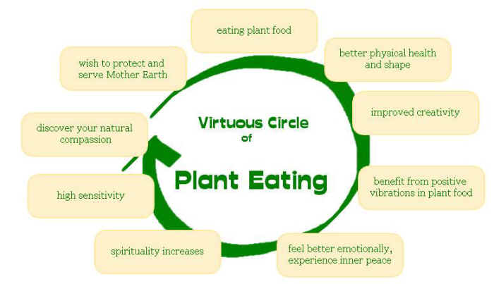 virtuous circle