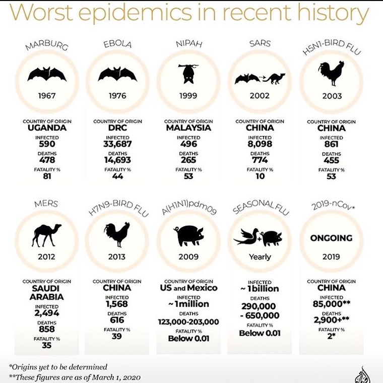 animals and epidemics