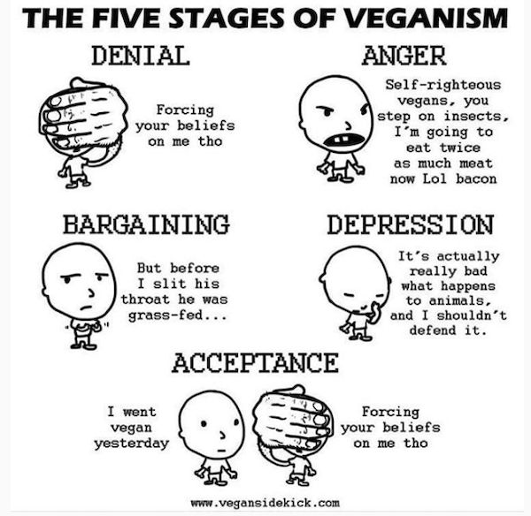 stages veganism