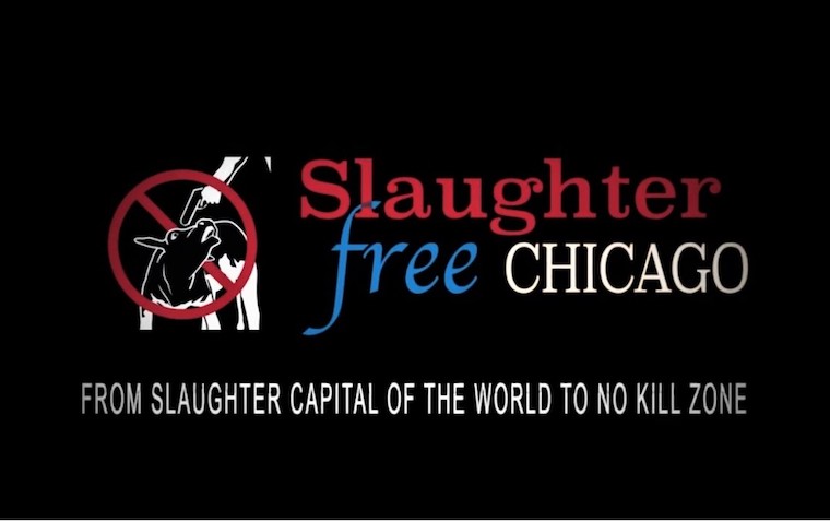 Slaughter free Chicago