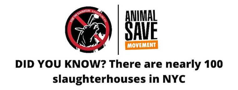 ban slaughterhouses