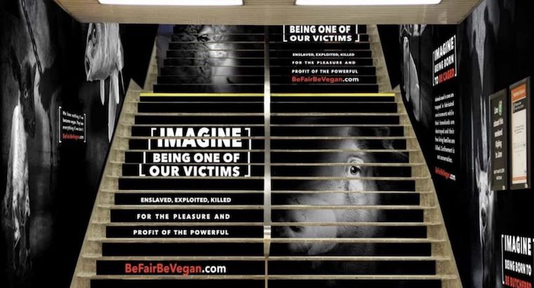 Animal victims