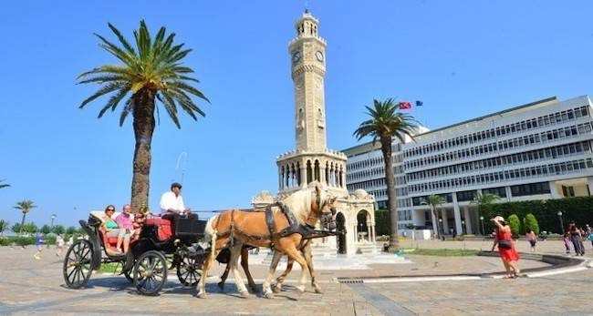 Izmir carriage Horse