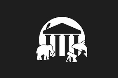 nonhuman rights