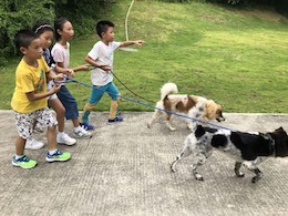 Kids and Dogs