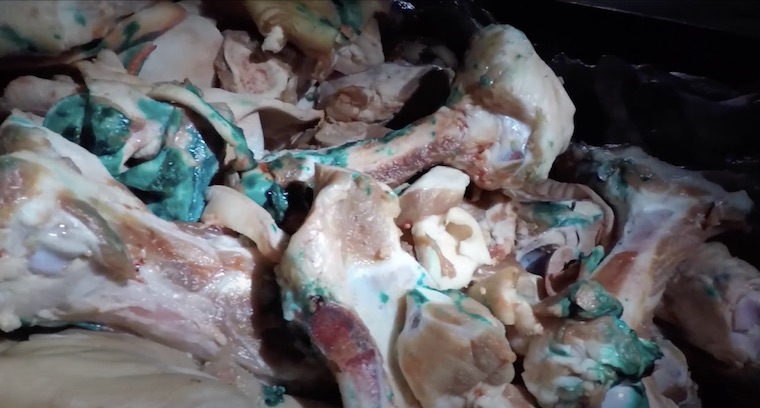 diseased flesh