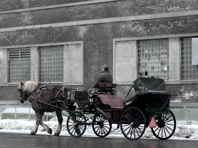 horse-drawn carriage