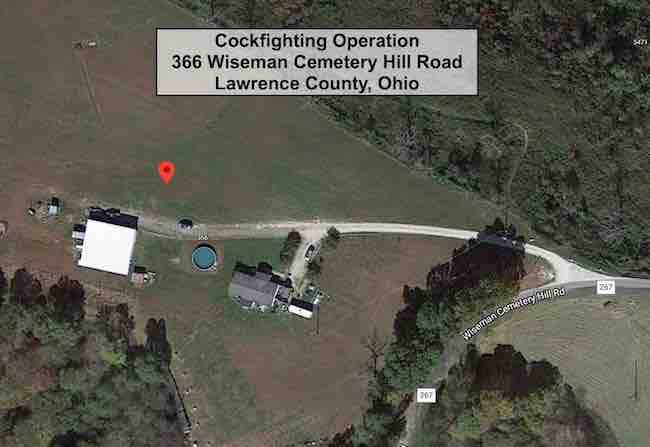 cockfighting operation