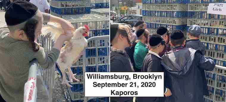 Kaporos slaughter ritual