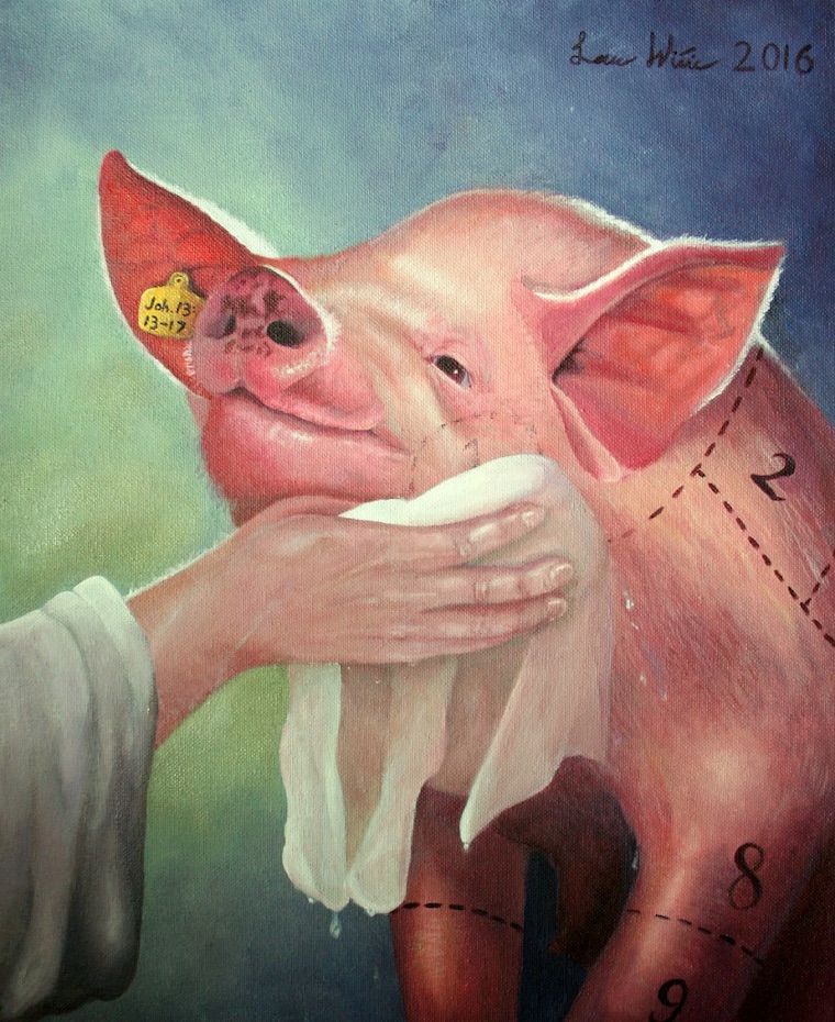 saved Pig
