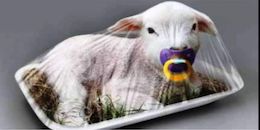 Easter Lamb