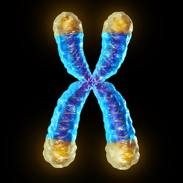 telomeres