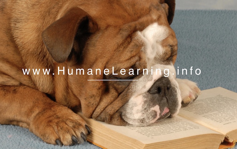 humane learning