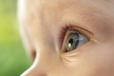 baby's eye