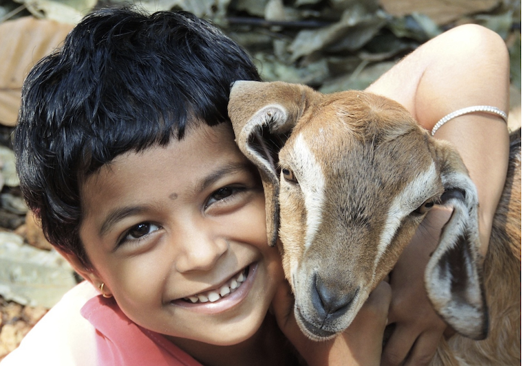 Boy and Goat