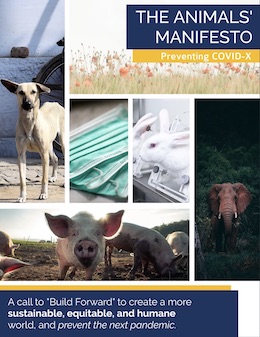 Animal Manifesto