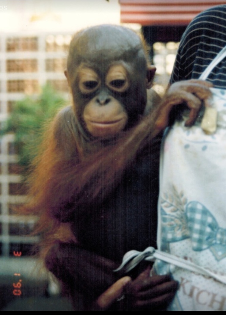 Bangkok Six