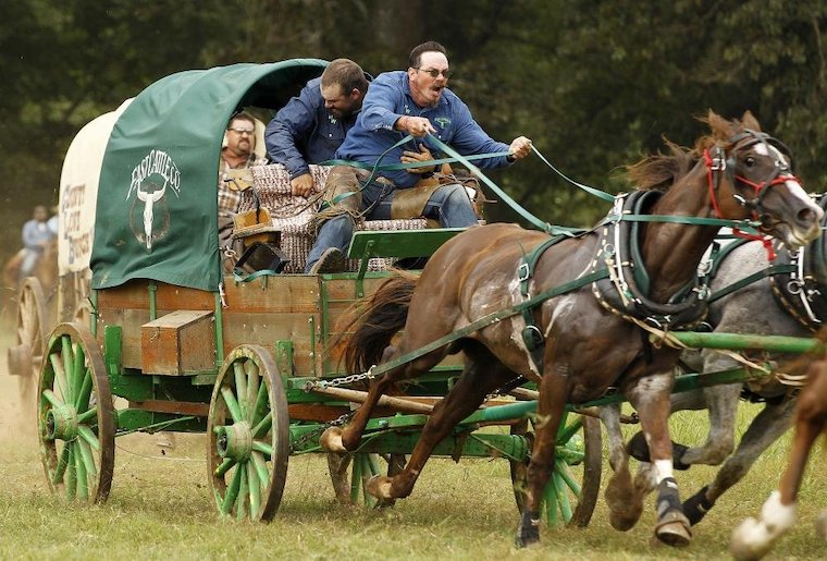 chuckwagon race