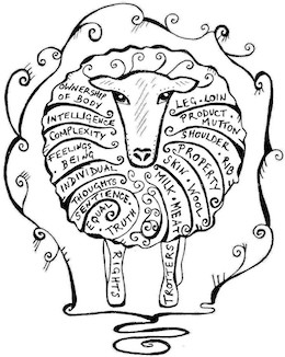 Sheep exports