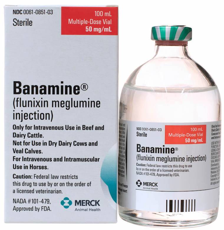 Benamine