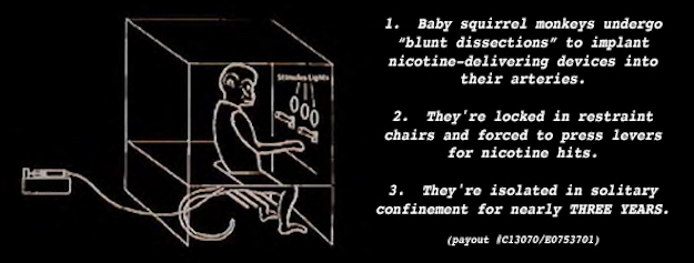 baby monkey nicotine