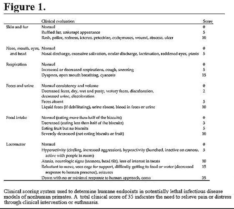 measuring suffering
