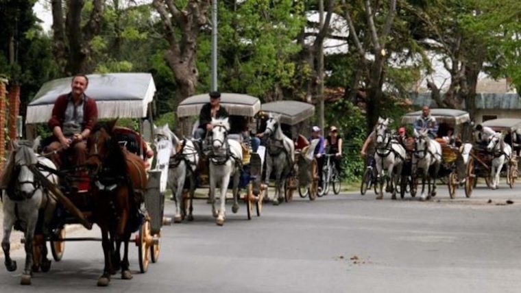 horse-drawn carriages