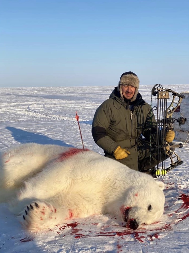 murdered Polar Bear