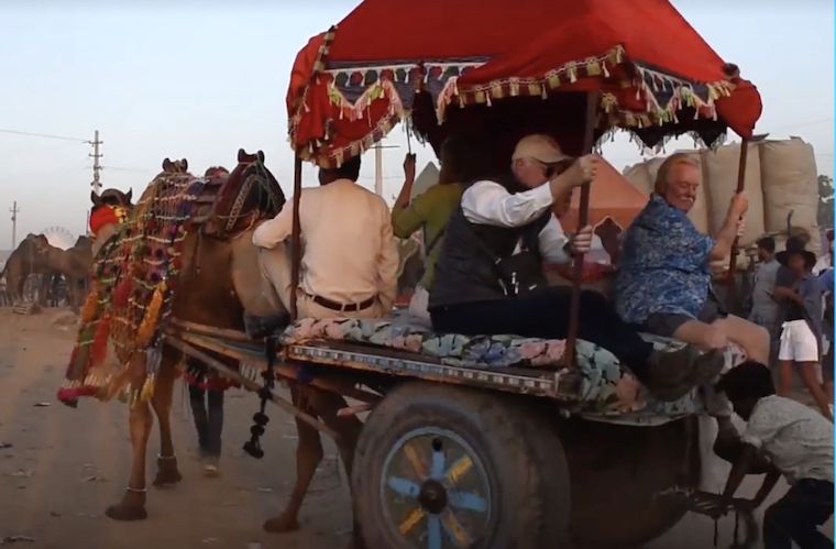 Carriage Camels