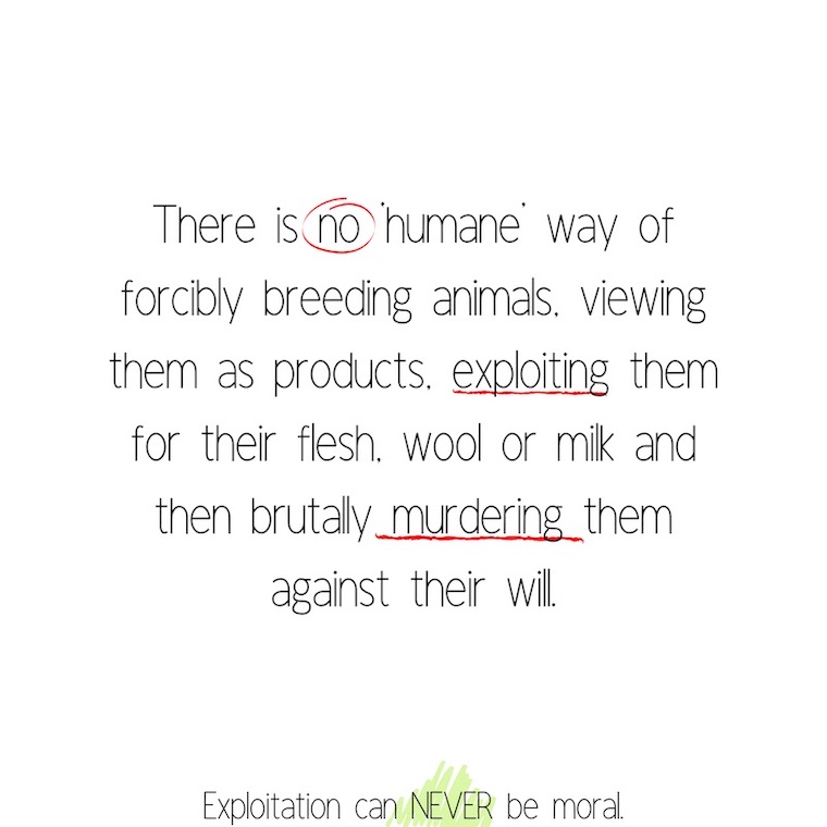 animal exploitation